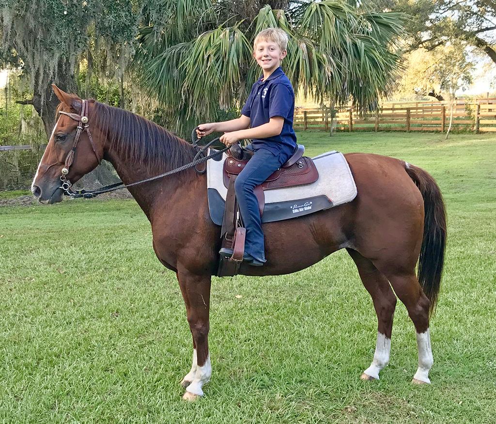 ARISTOCRATIC WYNNE 4195282 Sorrel QH Mare 01 Smart Aristocrat Jae Bar Wynne Smart Aristocrat Jae Bar Wynne Ruby is a sound, easy keeper that has been ridden by all ages from 8 year old to 72 year old.