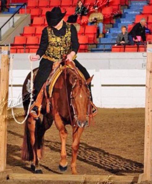 HF BARPASSERS SPIRIT Sorrel QH Gelding 02 Barpassers Image Tahnee Zippo Barpasser Zippo Pine Bar An Incentive Fund gelding that is a finished Western Pleasure horse that was shown at the