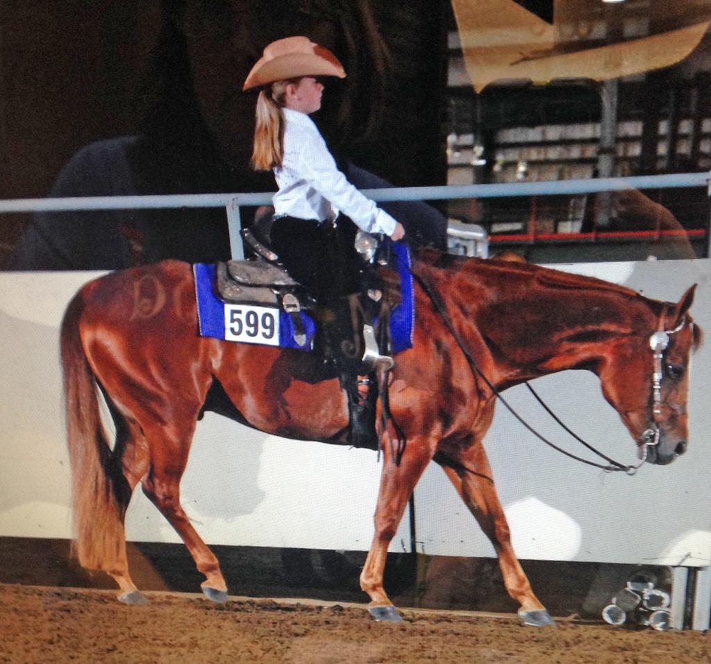 CROWN ROYAL RANGE 4986698 Sorrel QH Gelding 07 Openrange Ms Principles Zippos Mr Good Bar Principle Investment Do you want to go to the shows and be up front?