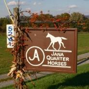 JANA QUARTER HORSE FARM 1963-2015 Our program is soon coming to an end. For over 50 years we have worked hard to preserve the original quarter horse and its foundation genes.