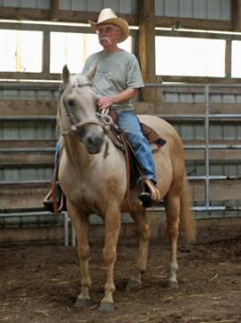 With her excellent disposition and size, she is an excellent senior citizen or child s horse. The great cutting and reining horse sires Colonel Freckles and Jessie James are in her pedigree.