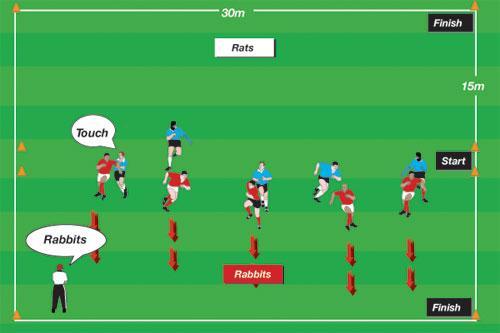 Rats & Rabbits To develop speed, acceleration, reaction time and evasive skills 8-10 cones 6-30 players 15 x 30 metre grid depending on the size of the group DRILL SET-UP: Players pair off and stand