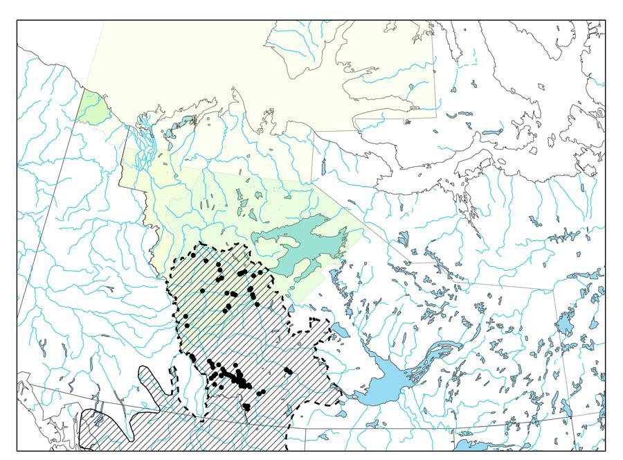 Figure 2. Generalized distribution of Bull Trout (hachuring) in northwestern Arctic Canada (after Sawatzky et al. 2007).