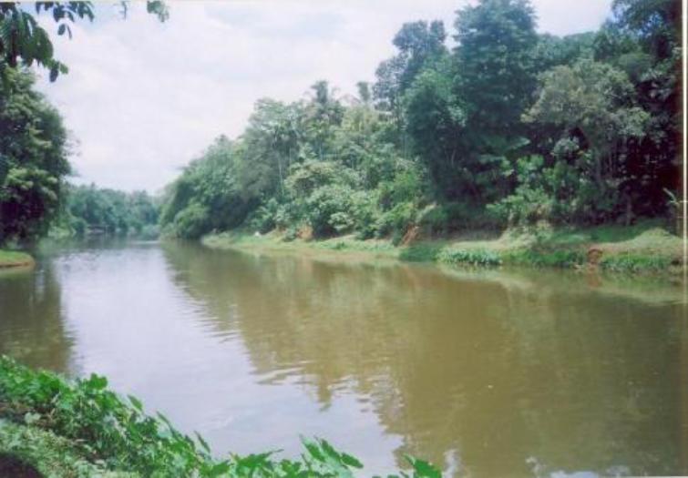 Ghat reserve forest - a pristine area with no to little human disturbance Station II: Konni:-