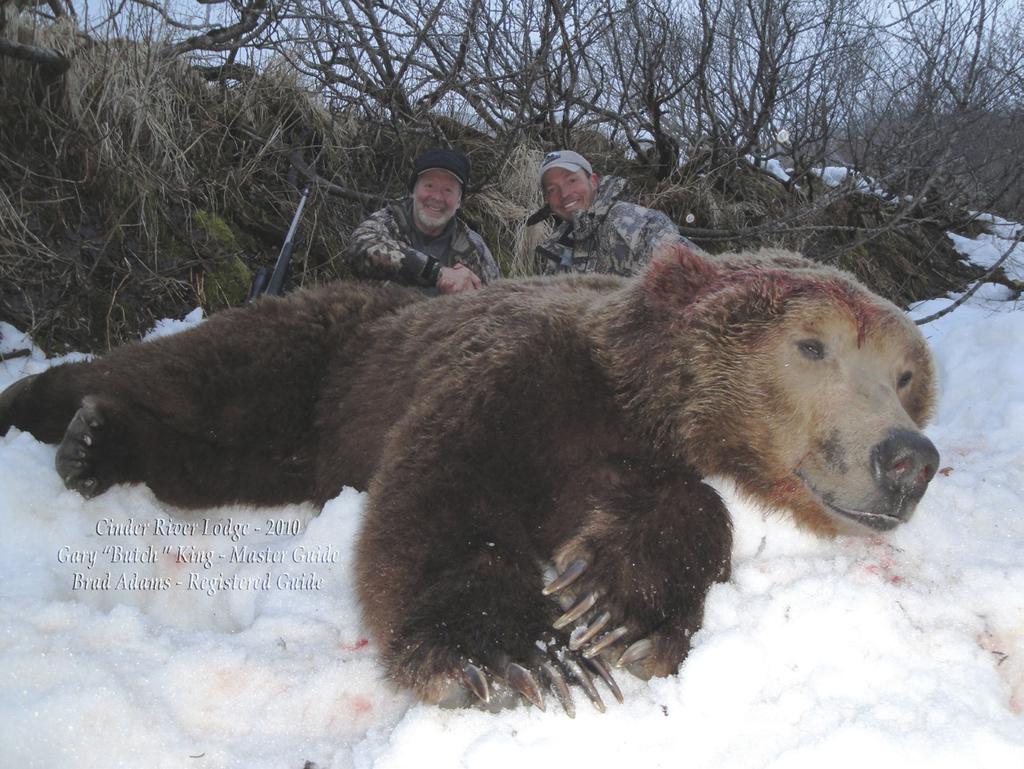 Giant Brown Bear and Moose on the Alaska