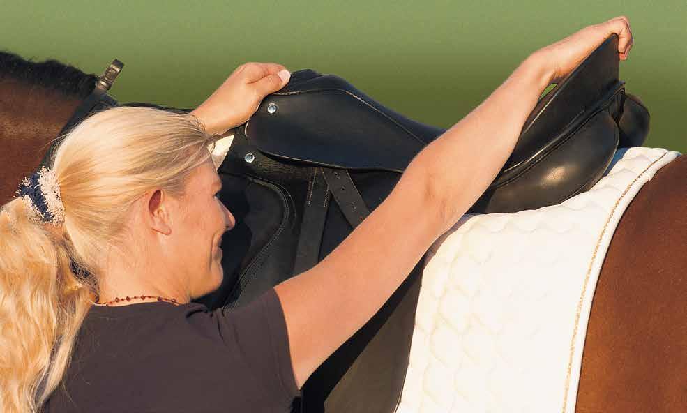TIPS TO MAINTAIN THE CORRECT SADDLE FIT: MOUNTING Incorrect The rider holds on to the cantle and pulls himself on to the horse