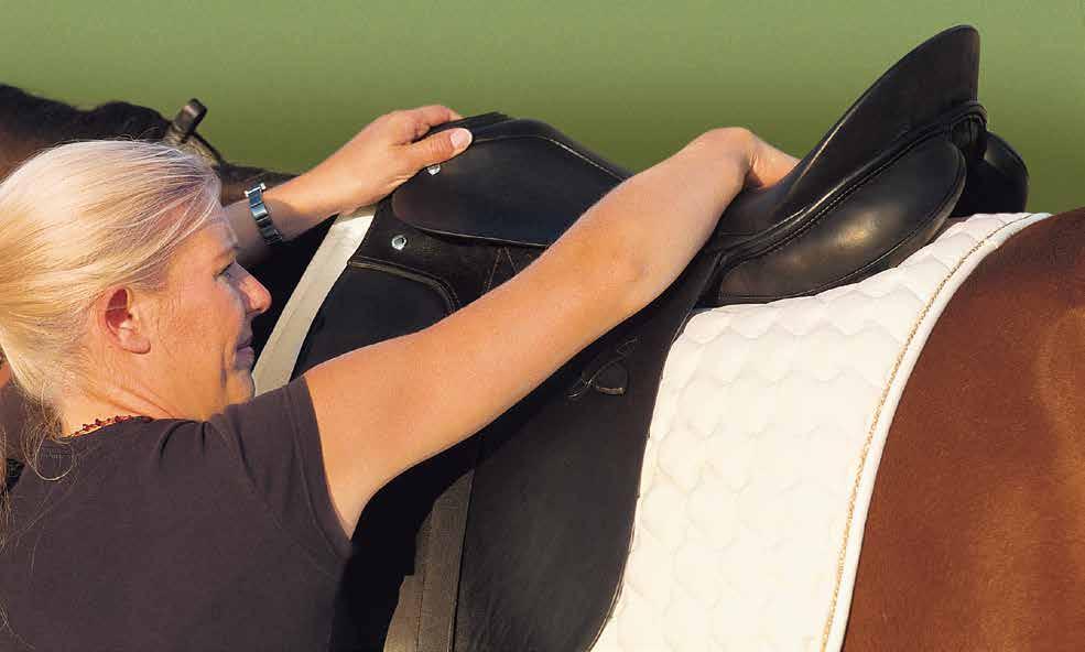TIPS TO MAINTAIN THE CORRECT SADDLE FIT: MOUNTING