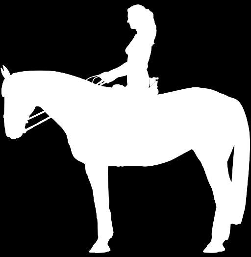 THE SADDLE FIT RIDER: SIZE AND WEIGHT OF THE RIDER There should be space for the width of