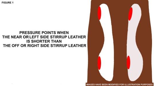 With stirrup leathers that are not equal in length, the rider will lean in the direction of the longer stirrup leather and feel lopsided and out of balance.