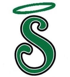 Seton High School Saints in Training: Spring Volleyball Clinic Seton High School s Athletic Department is excited to offer the opportunity for 2 nd through 7 th grade girls to work with Volleyball