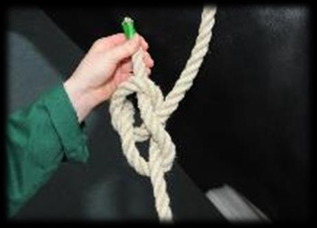 Continue to hold the rope at the withers in your left hand.