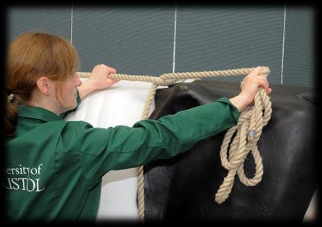 Clinical Skills: 13 14 15 Pass the long end of the rope