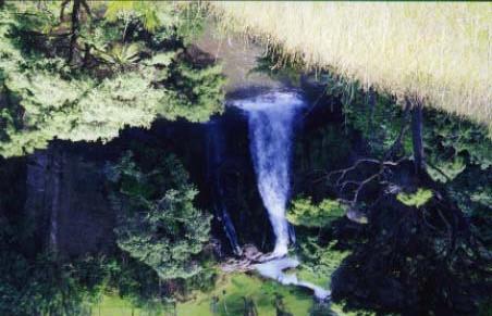 16 Barriers to Fish Passage Plate 1: Waterfall on Okiritoto Stream.