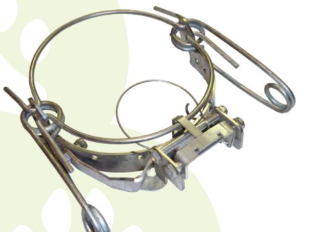 Belisle foot snare trap Belisle selective trap stainless The foot snare is a trapping tool that reduce to a minimum the injuries to the animal and allows the release without problem non-targeted