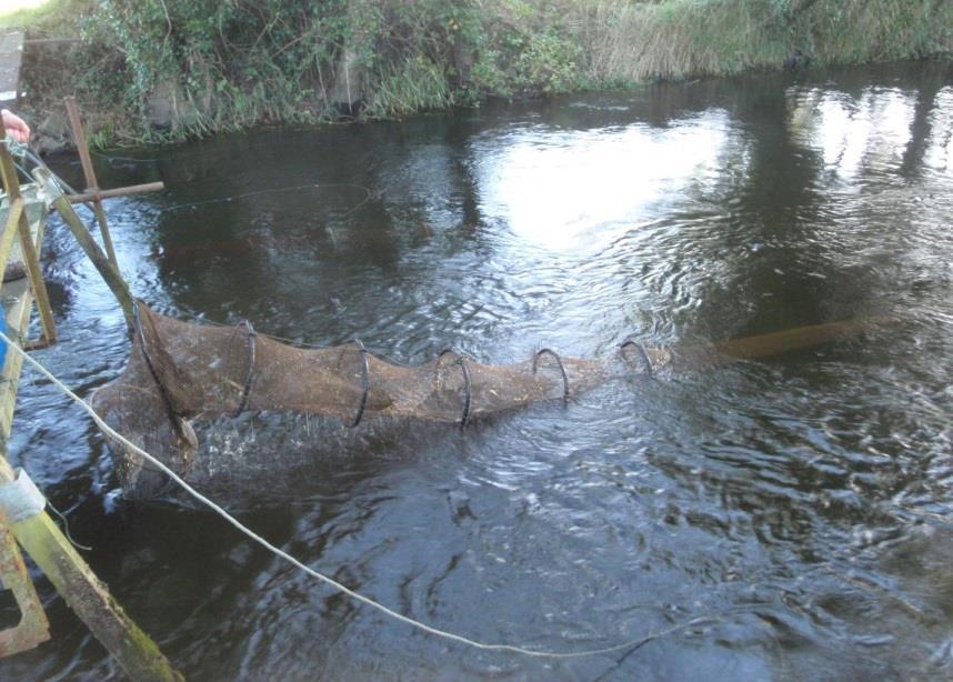 57 Figure 5-19: Coghill net fishing for silver eels in the Clarebane River,
