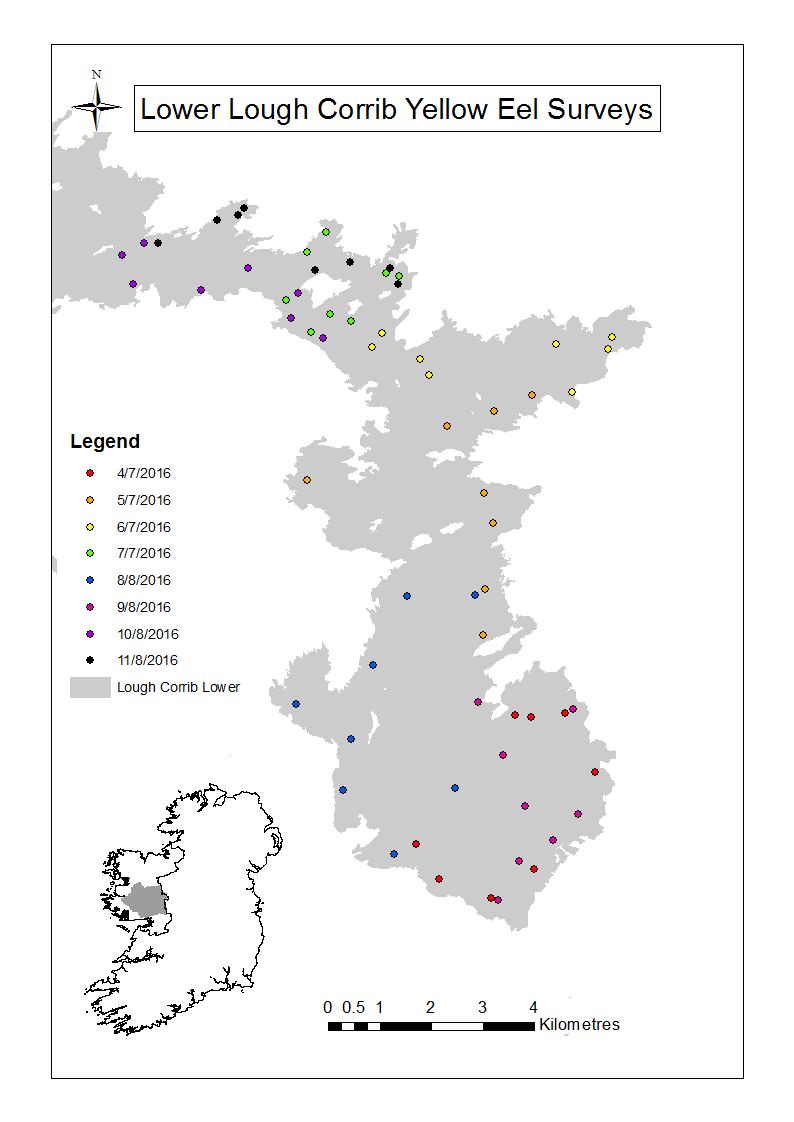 Figure 6-8: Locations of fyke nets sampled on L. Corrib Lower, 2016.