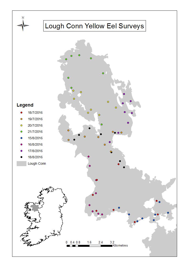 Figure 6-14: Locations of fyke nets sampled on L. Conn, 2016.