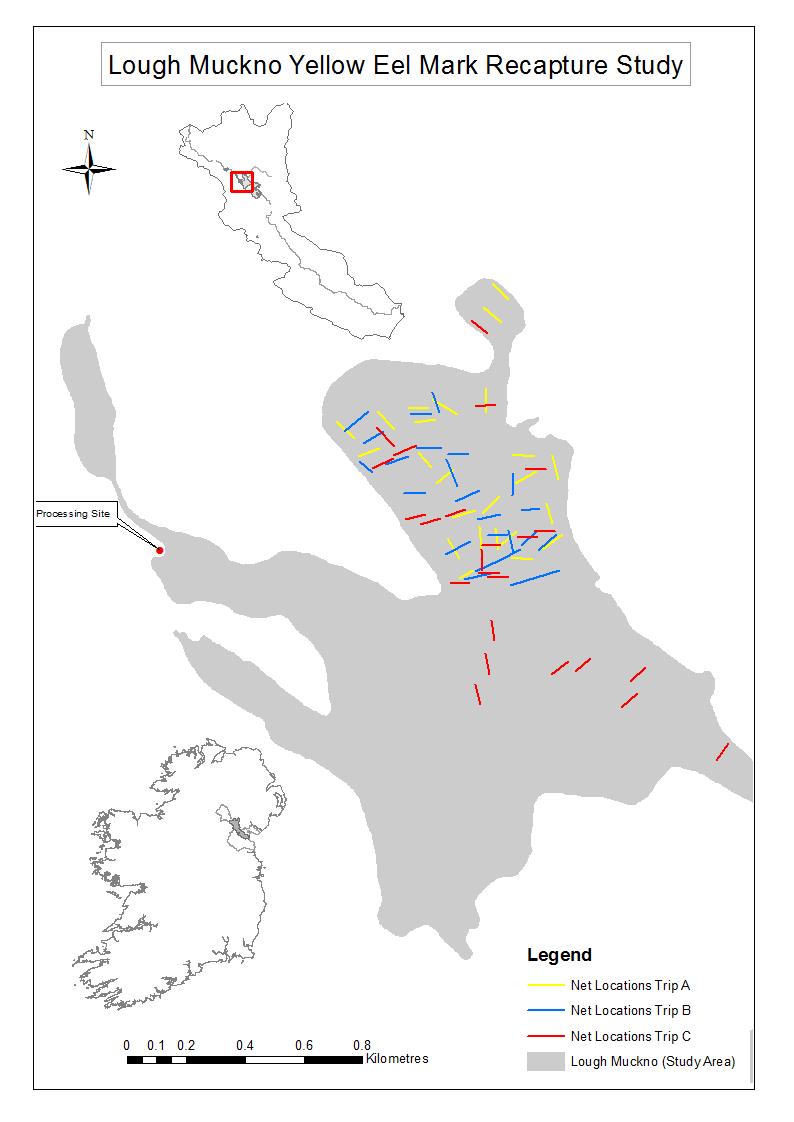 88 Figure 6-23: Locations of fyke nets sampled on L. Muckno, 2016.