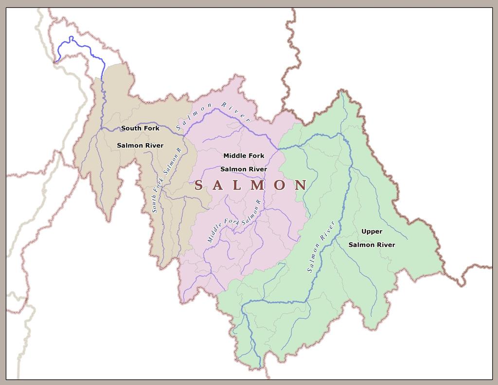 Wild fish management Salmon River Sp/Su Chinook MPGs SF Salmon, MF Salmon, Up.
