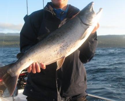 Recommendation: Continued support of tribal coho reintroduction