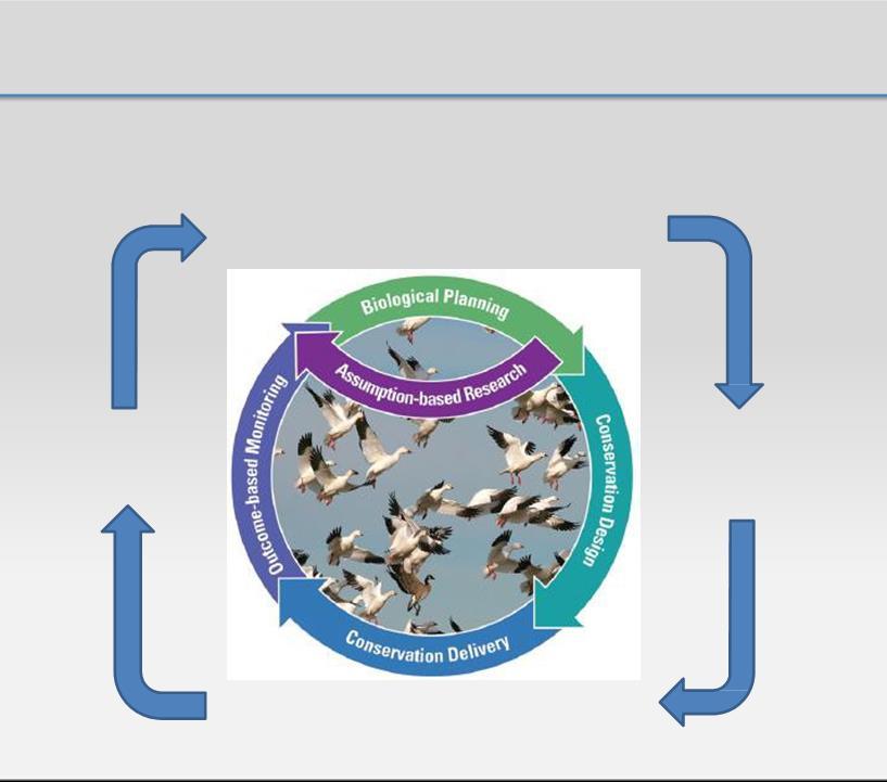 Implementation of Hatchery Reform is Strategic Hatchery Management Adapted from USFWS