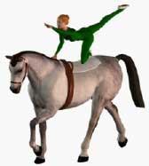 The Flag What: The flag is a balanced position of kneeling on the horses back with the opposite diagonal limbs are stretches out and eyes looking forward.