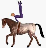 Part 2 Start with the reverse basic seat. Swing legs behind and arch body. Swing legs towards the horse s tail. Lift the buttocks up and shifts the weight onto the vaulters arms.