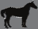 OBJECTIVES: Students will learn about the evolu on of the horse over me and how the uses of horses have changed.