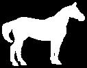 Students will learn terminology related to the horse industry. REQUIRED MATERIALS: Copies of Where Did the Horse Come From?
