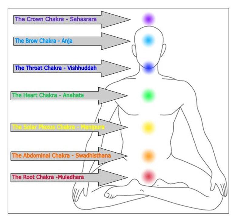 The Throat Chakra (Vishuddha); This charka is located in the throat. It is associated with the throat, shoulders, arms, hands, thyroid and with expression and creativity. Colour; lue. P.