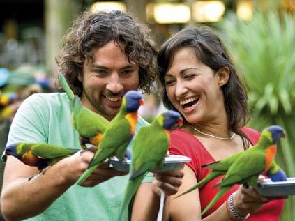 Theme Parks There's something for everyone at any of Queensland's world-class theme parks.