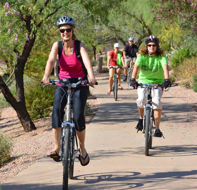 Vision & Goals Technical Advisory Committee and Ad Hoc Task Force established Vision & Goals for bicycling in Phoenix: MAKING CONNECTIONS In 20 years, Phoenix will be a Platinum-level Bicycle