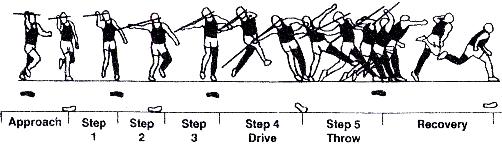 2.2. THE STAGES The javelin technique sequence comprises of 4 phases: An approach, a 5-step rhythm, throw and recovery. 2.3. THE JAVELIN THROWER SHOULD AVOID: Grasping the javelin with a tensed fist.