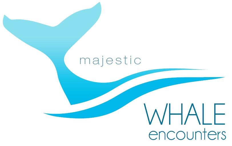 W H Y U S? At Majestic Whale encounters our mission is to protect the world's oceans and all that's in it. We believe if you love the ocean it will love you back.