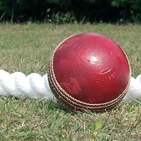 and Wales Cricket Board to raise standards for