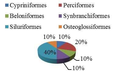 Fig 2: Percent contribution of genera in an order Fig 3: Percent contribution of families in an order Table 1 Order Families Genera Species % contribution of families in an order % contribution of