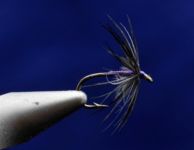 flies) Mustad R50 in 14 18 Tiemco 2499SPBL 12 16 ( Competition Style ) Favorite Spider Fly Patterns Snipe & Purple: Size 16 Body: Pearsall s #8 Purple.