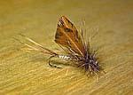 CdC May Fly, split wing - Olive, Tan, Black, Brown, Yellow,