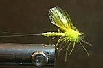Waterwing Spinner - Ephemerella Aurivilli, Siphlonorus,