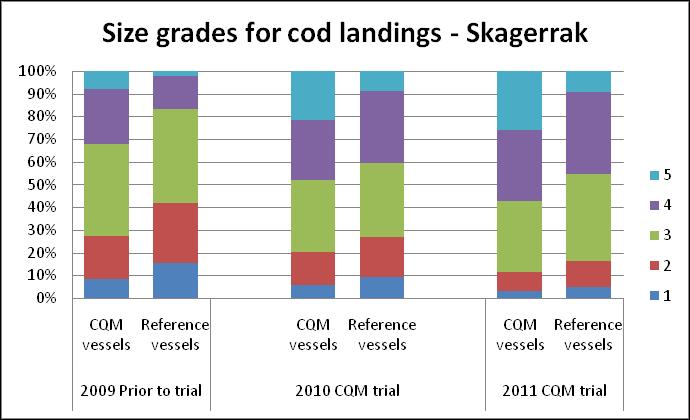 7% size grade 5 cod in their landings in 2009 (before joining the CQM scheme) which after the CQM trial began rose to >20% and 27% in 2010 and 2011 respectively.