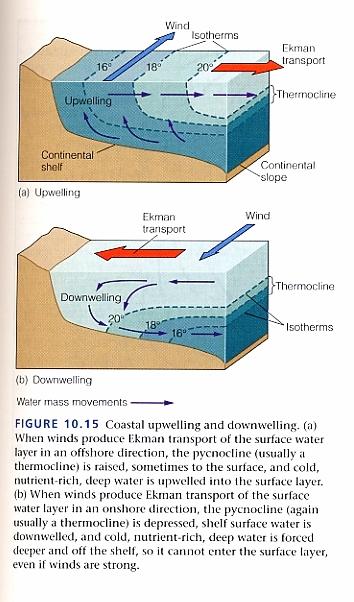 As a result of this Earth-rotation rotation effect, the very surface of the ocean (say, the top 25 meters) flows perpendicular to the winds blowing on it. i This is called the Ekman flow.