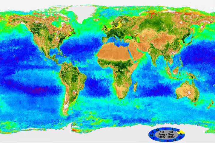 This image from the SeaWiFS satellite of NASA shows the primary productivity of the world s oceans and land surface in late summer of 1997.