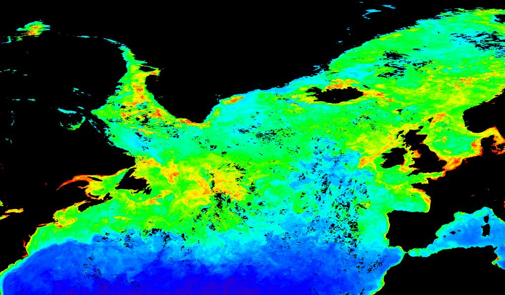 The Greenland waters reaching out over the Labrador Sea also carry strong primary productivity with them