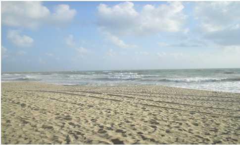Plate 3.3: Wide beach and strong waves in Batu Burok beach Plate 3.