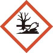 2 Hazard Statement H226 - Flammable liquid and vapour. H315 - Causes skin irritation.