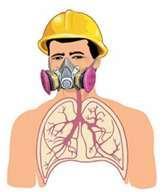 Medical Evaluation The medical evaluation determines an employee s fitness to wear a respirator.