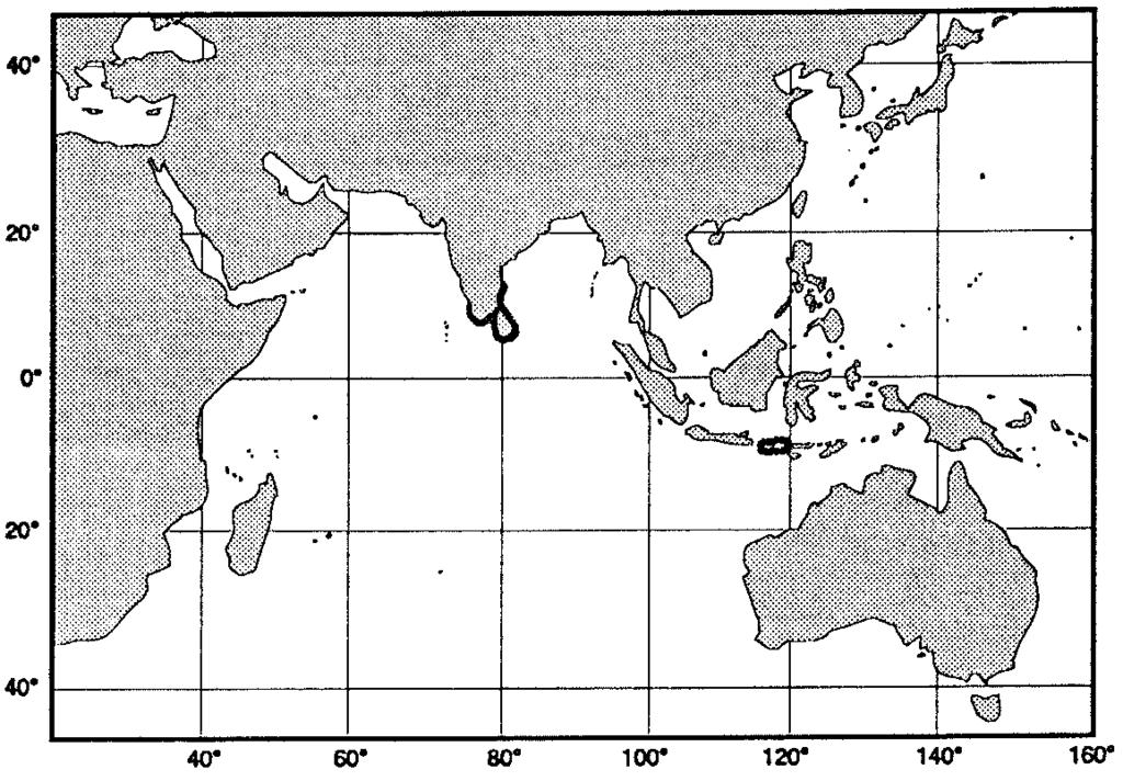 Groupers of the World 153 1.7 to 2.2 times in head length; pelvic fins not reaching anus, their length contained 2.2 to 2.6 times in head length; caudal-peduncle depth contained 3.8 to 4.