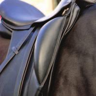 to horses with perfect confirmation for dressage particularly horses with a long sloping shoulder and a wither set further into the back.