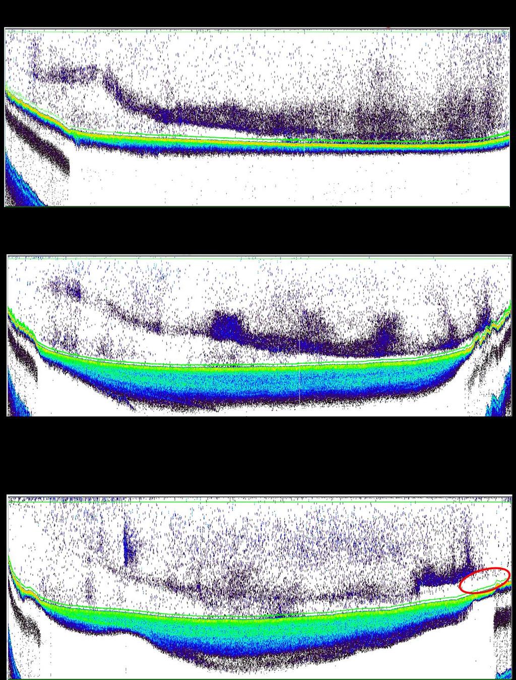 Figure 3.2.6. Echogram files generated from Echoview software version 6.