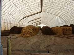 Composting barns, pits, ponds, and tanks Mushroom compost is manufactured by fermenting straw with a mixture of water (usually brown water, gypsum, and chicken manure.